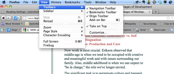 Firefox  View 1